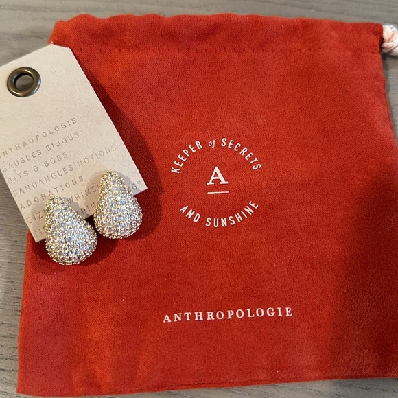 The Petra Pavé Large Drop Earrings- Gold - Picture 6 of 6